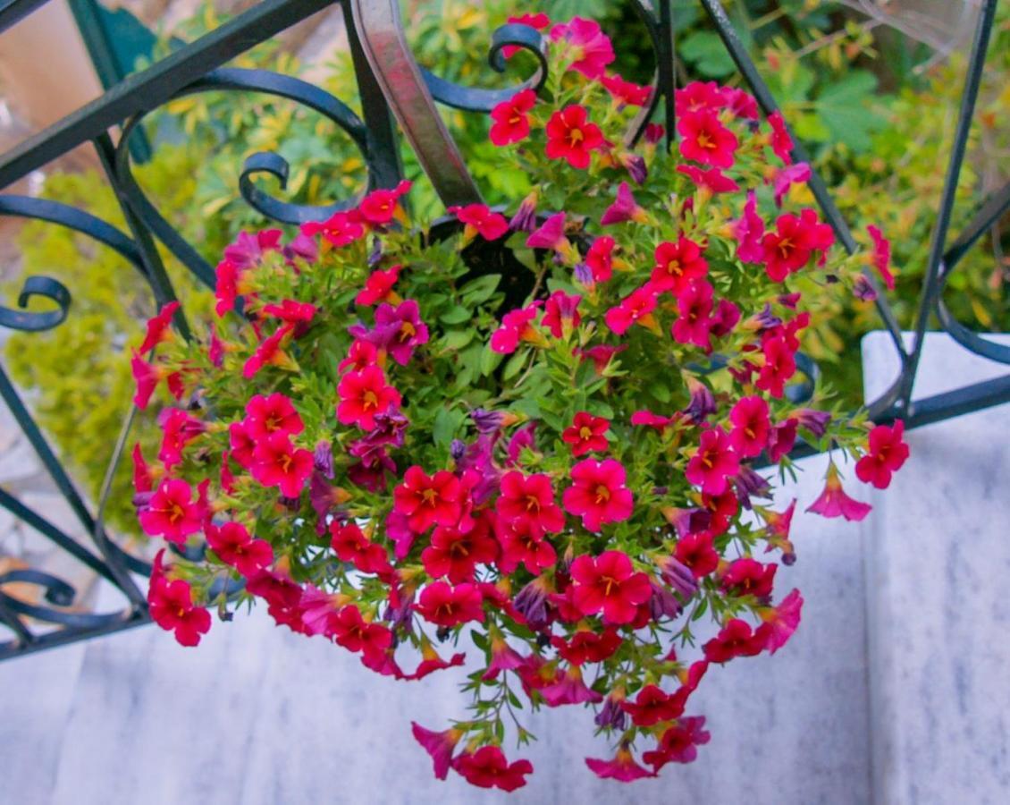 Flowers studios Benitses  Exterior foto